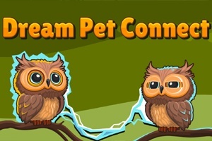 Dream Pet Connect