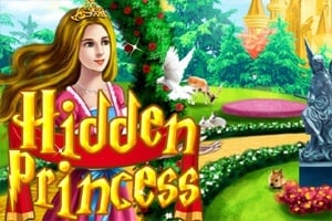 Hidden Princess