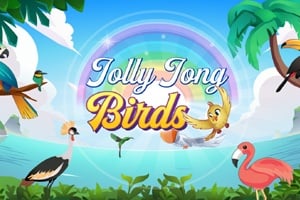 Jolly Jong Birds